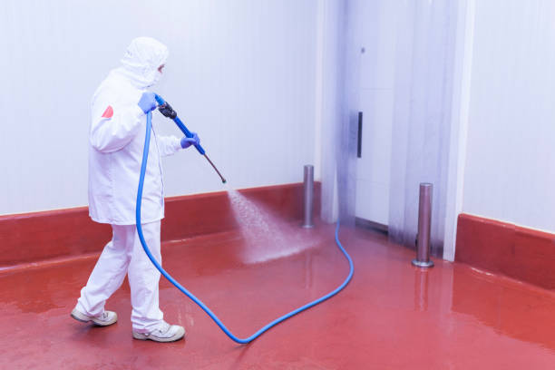 Best Rust Removal  in Hartsdale, NY